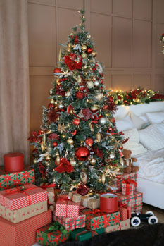 accueil-service-decor-noel